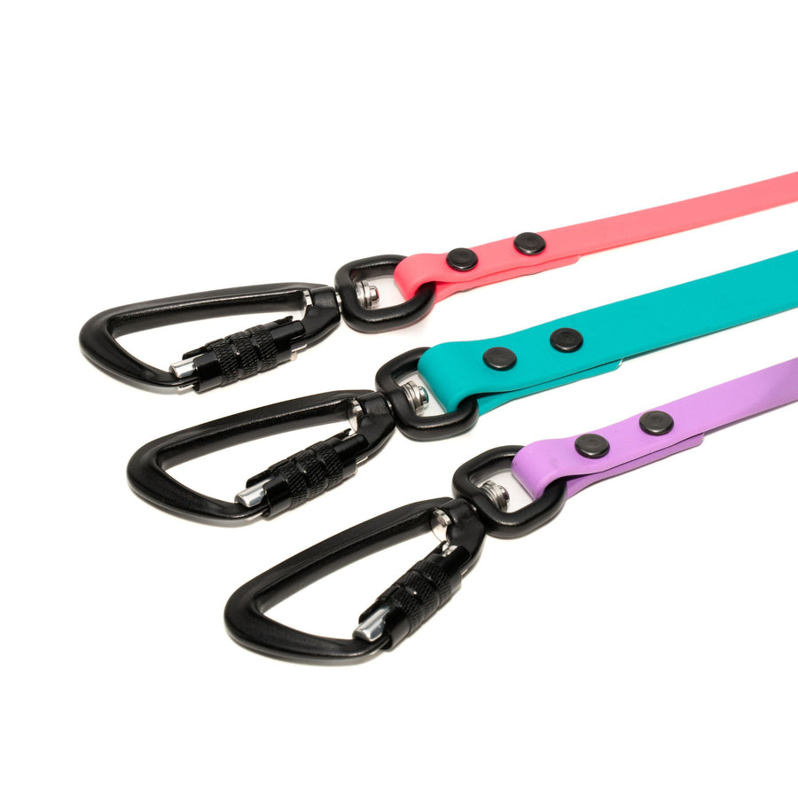 three biothane waterproof leashes with black sport carabiner clip on white background