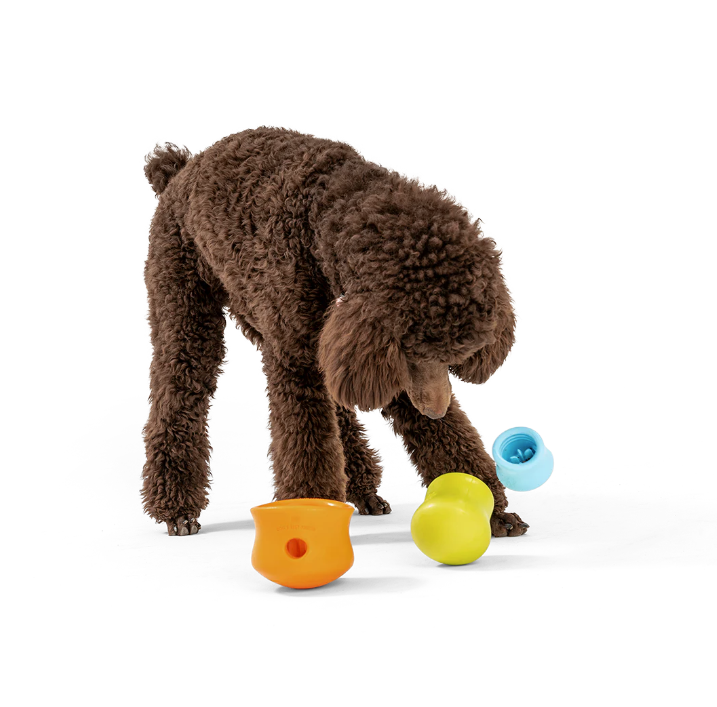 toppl_brown_dog_playing_with_three_toppl_sizes