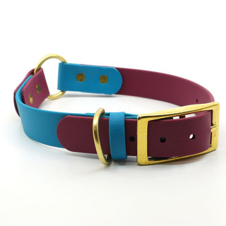 Classic Brass BioThane O Ring Dog Collar 