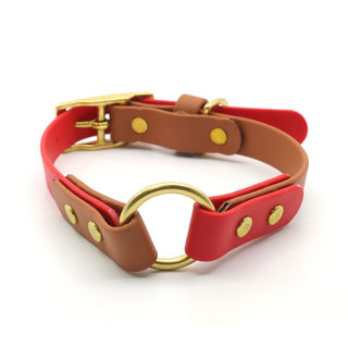 close up of Classic Brass BioThane O Ring Dog Collar