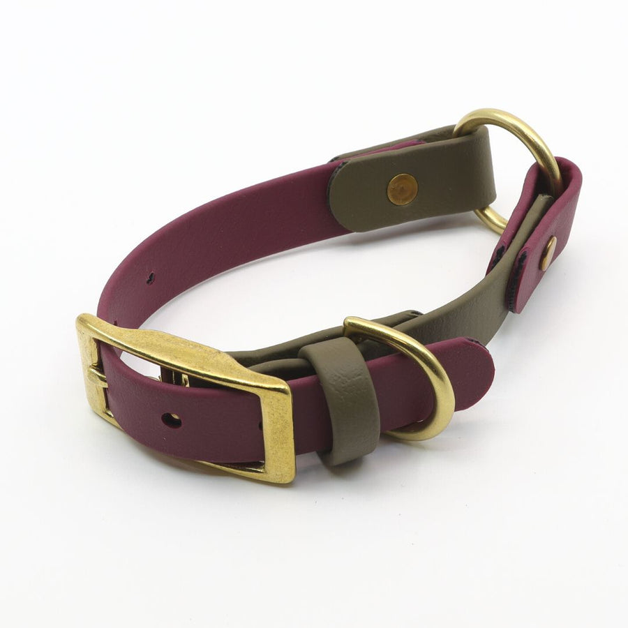 Plum and olive biothane classic dog collar with O-ring and brass hardware