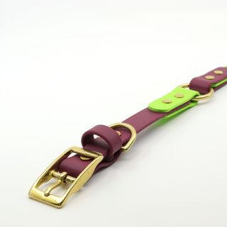 Classic Brass BioThane O Ring Dog Collar laying flat on white background