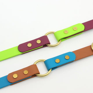 two Classic Brass BioThane O Ring Dog Collar laying flat on white background