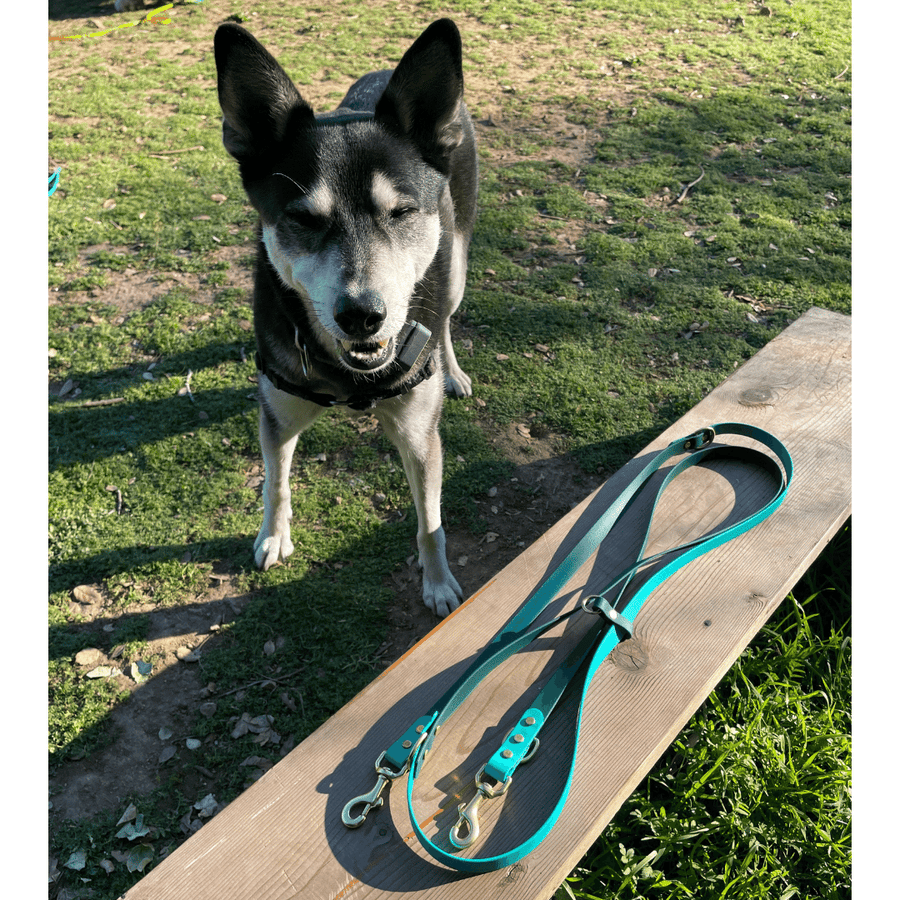 Leash that wraps around waist hot sale