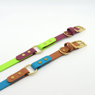 Classic Brass BioThane O Ring Dog Collar laying flat on white background