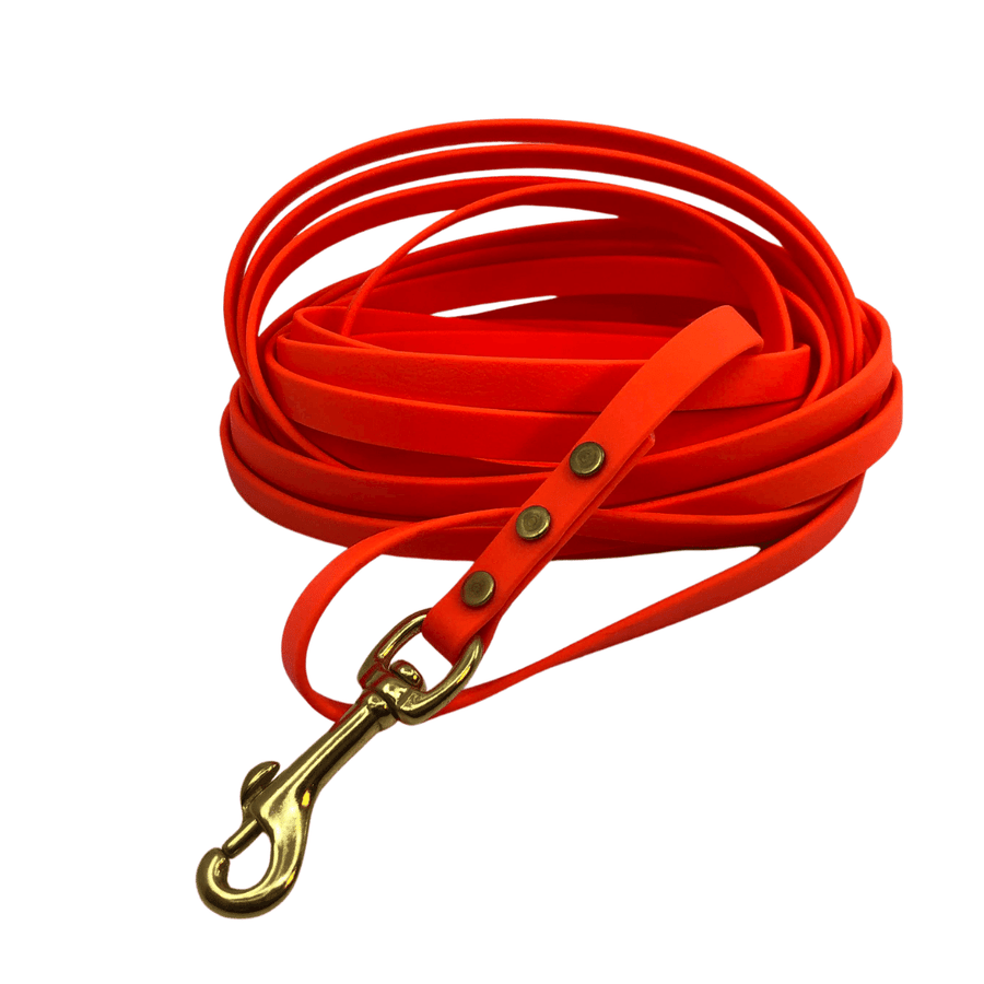 Brass Leashes + Long Lines - Medium Dogs (1/2 Width)