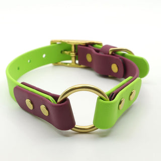 Classic Brass BioThane O Ring Dog Collar