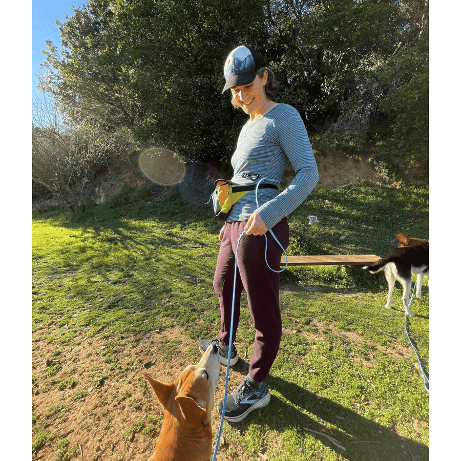 Waist leash for dog walking hot sale