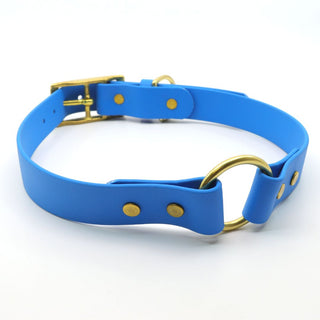 Classic Brass BioThane O Ring Dog Collar