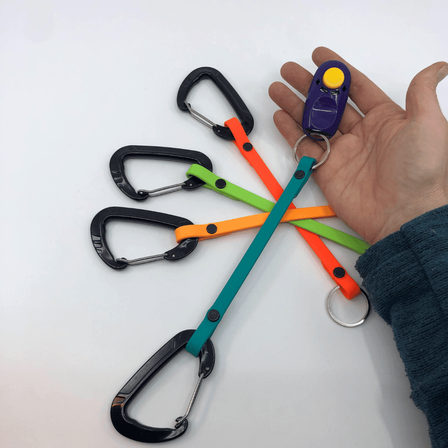 three biothane clicker straps under one strap attached to a clicker on a persons hand