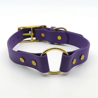Classic Brass BioThane O Ring Dog Collar