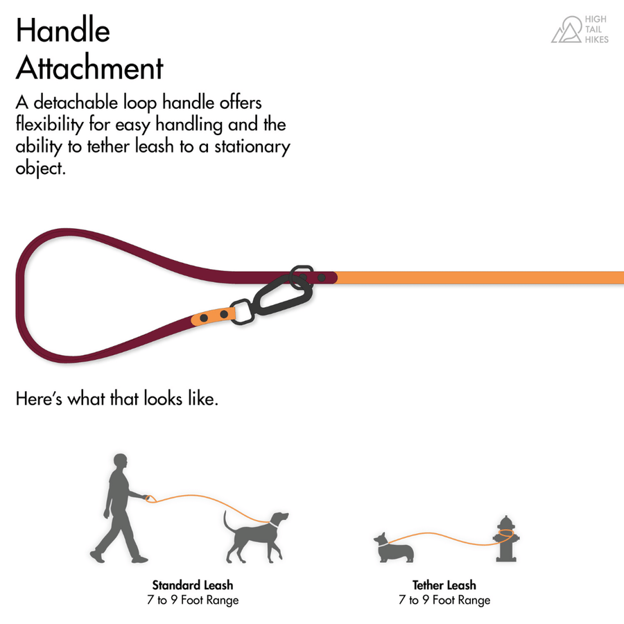 Dog tether leash deals