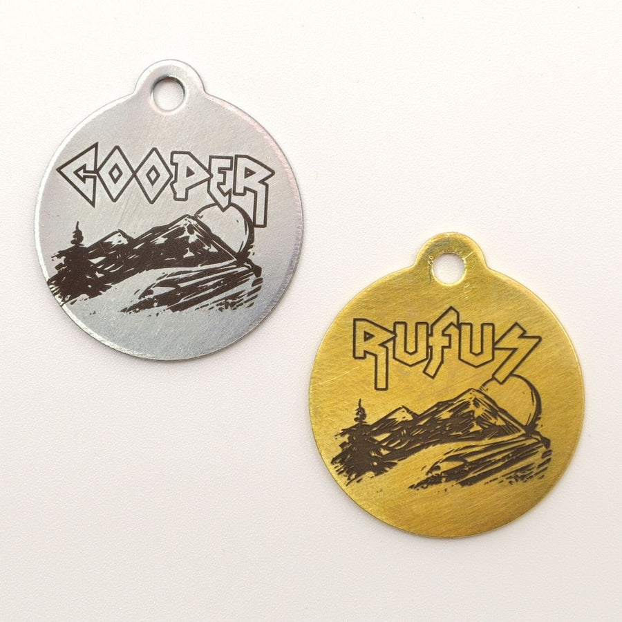 two metal dog ID tags, one in silver with the name Cooper and a gold with the name Rufus on a white background