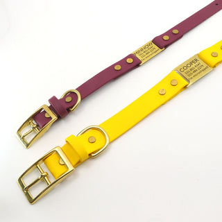 two classic brass biothane ID Tag dog collars laying flat on a white background
