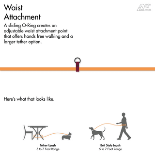 diagram of waist attachment on biothane dog leash