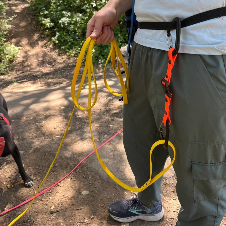 person wearing a belt with biothane waist to leash strap attached to the belt and dogs longline