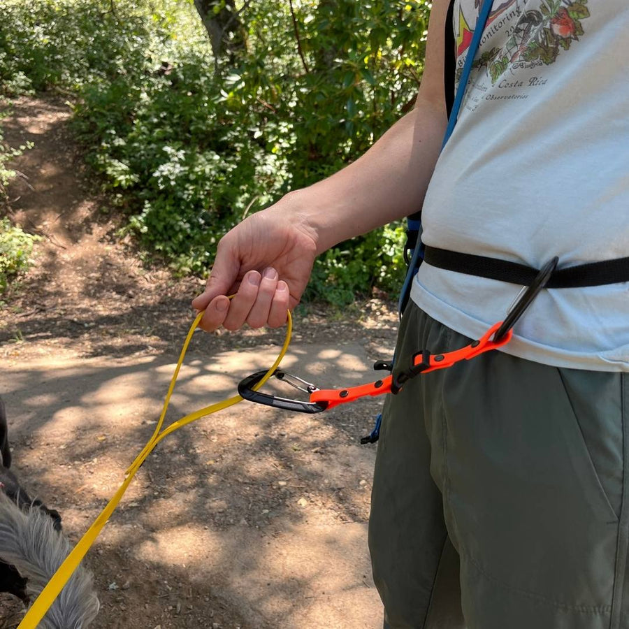 person wearing a belt with biothane waist to leash strap attached to the belt and dogs longline and holding the longline in his hand