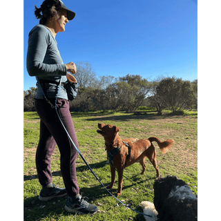 women wearing hands free biothane dog leash standing in front of brown dog in the grass