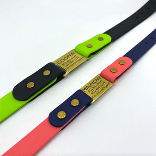 two classic brass biothane ID Tag dog collars laying flat on a white background