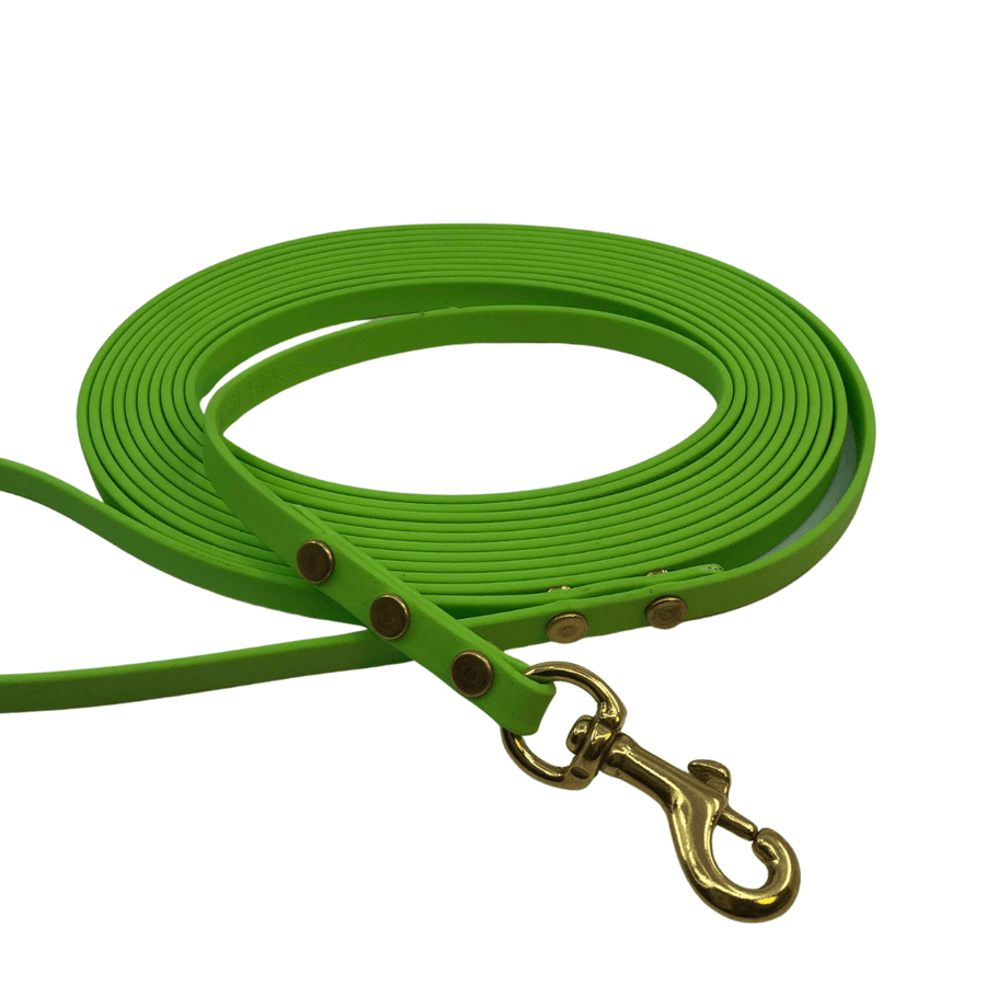 example of long line dog leashe with brass hardware in light green on white background