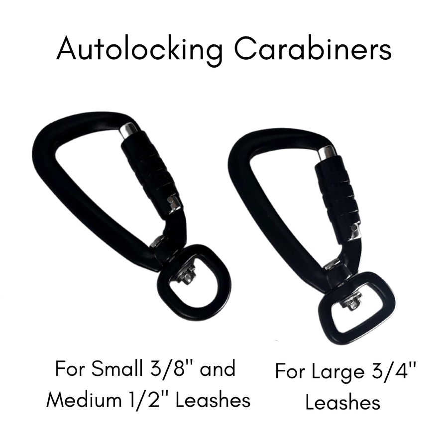Small locking carabiner 2024 for dog leash