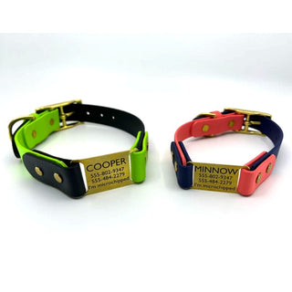two classic brass biothane ID tag dog collars on white background