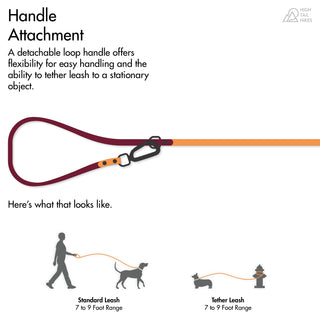 diagram of handle attachment on biothane dog leash