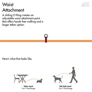 diagram of waist attachment on biothane dog leash