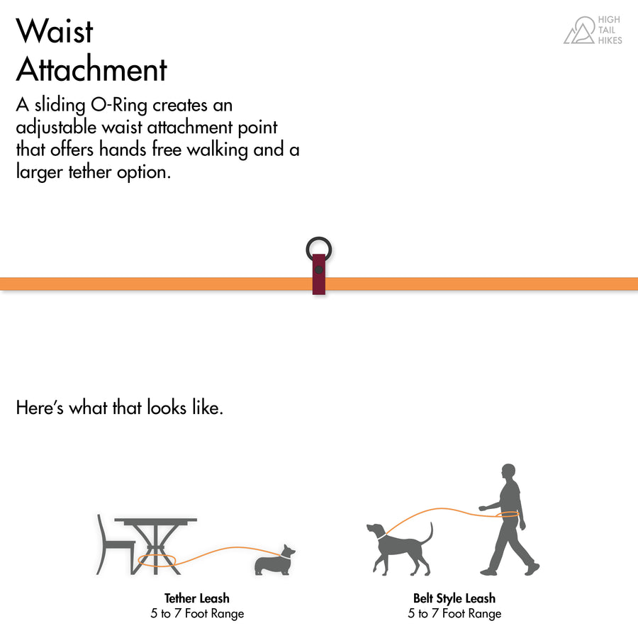 diagram of waist attachment on biothane dog leash