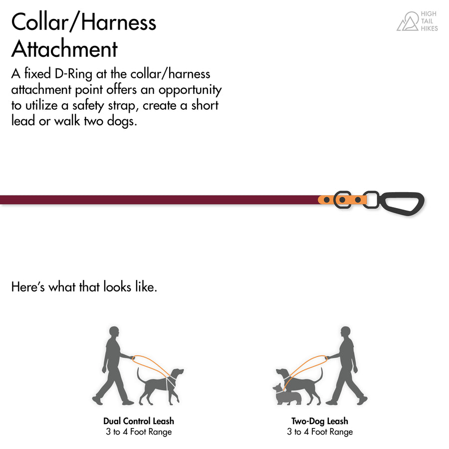 diagram of collar and harness attachment on the biothane dog leash