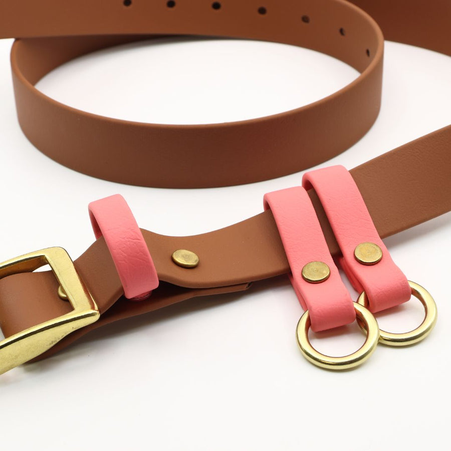 lose up of caramel biothane utility belt with coral accents with brass hardware