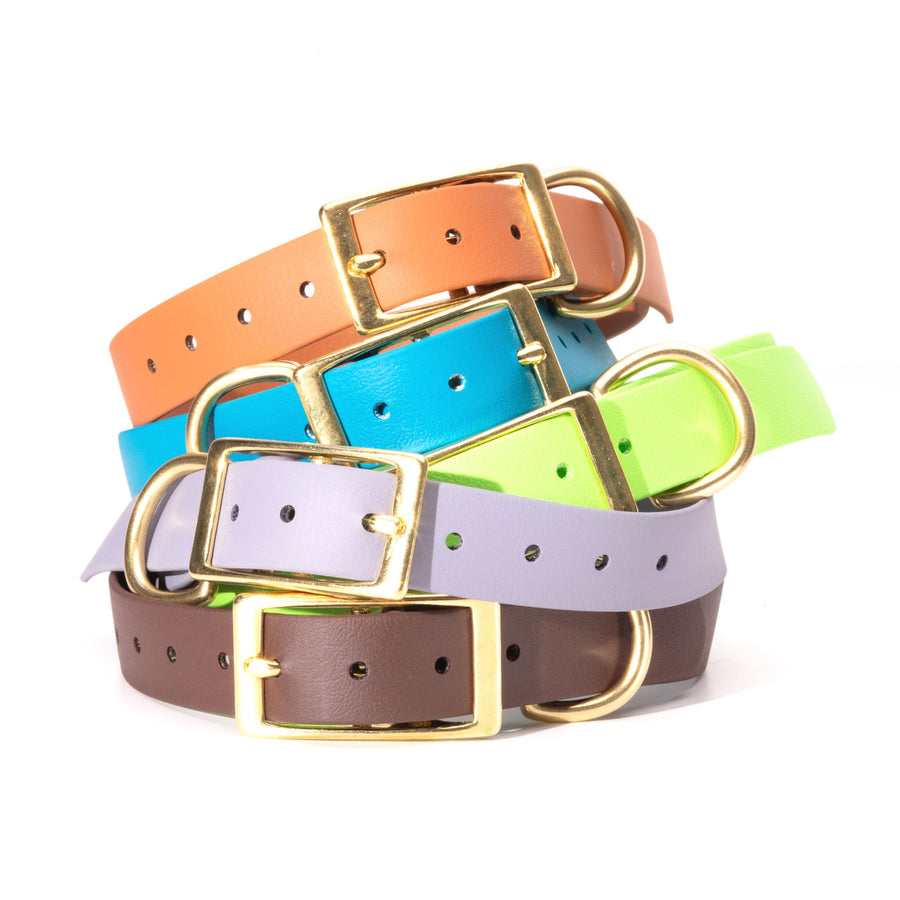 five biothane dog collars with brass hardware stacked on white background