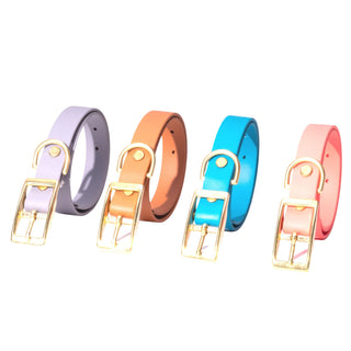 four biothane dog collars rolled up next to each other with brass hardware on white background