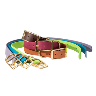 three biothane dog collars laying together and three stacked together on white background with brass hardware