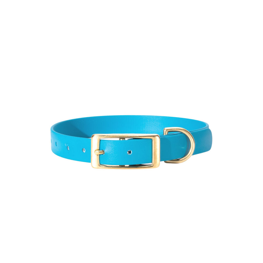 light blue biothane dog collar with brass hardware on white background