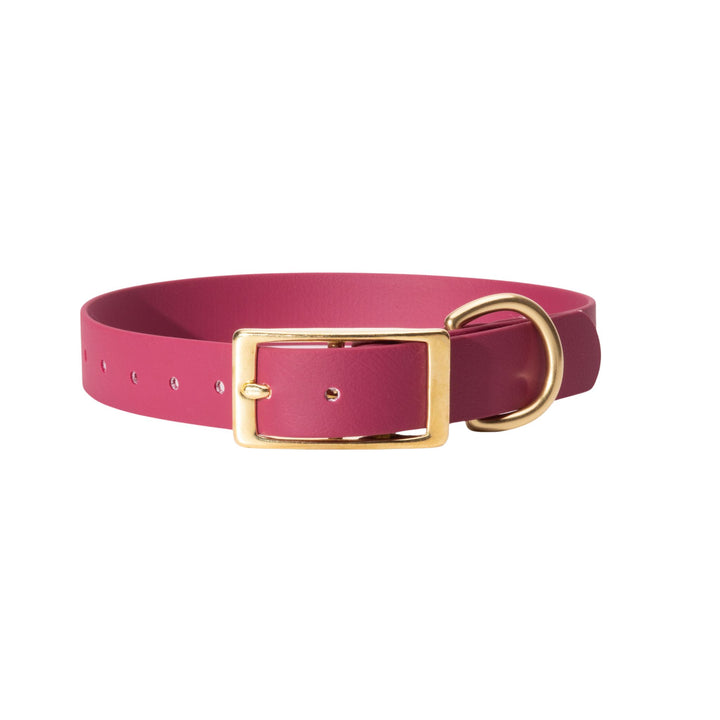 red biothane dog collar with brass hardware on white background