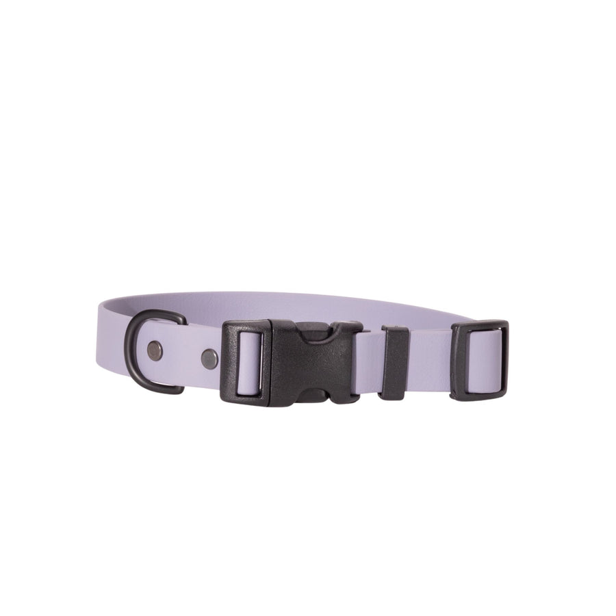 graphite biothane dog collar on white background with sport hardware