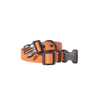 poppy colored biothane dog collar on white background with sport hardware