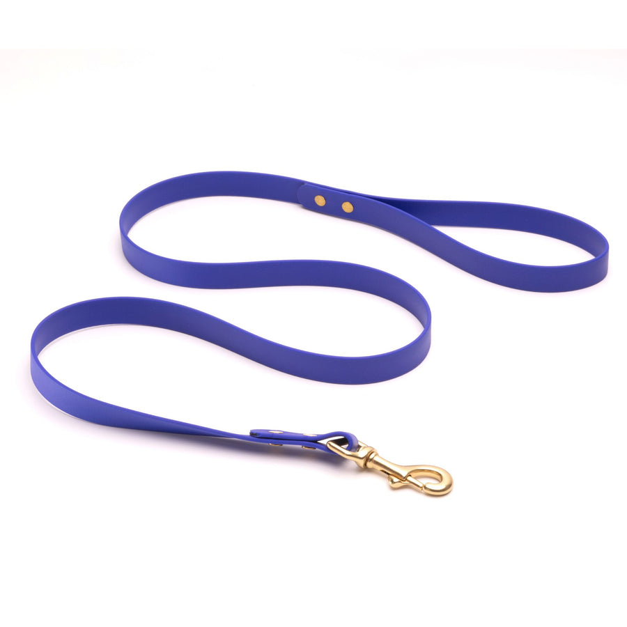 Blue biothane dog leash with brass hardware on white background