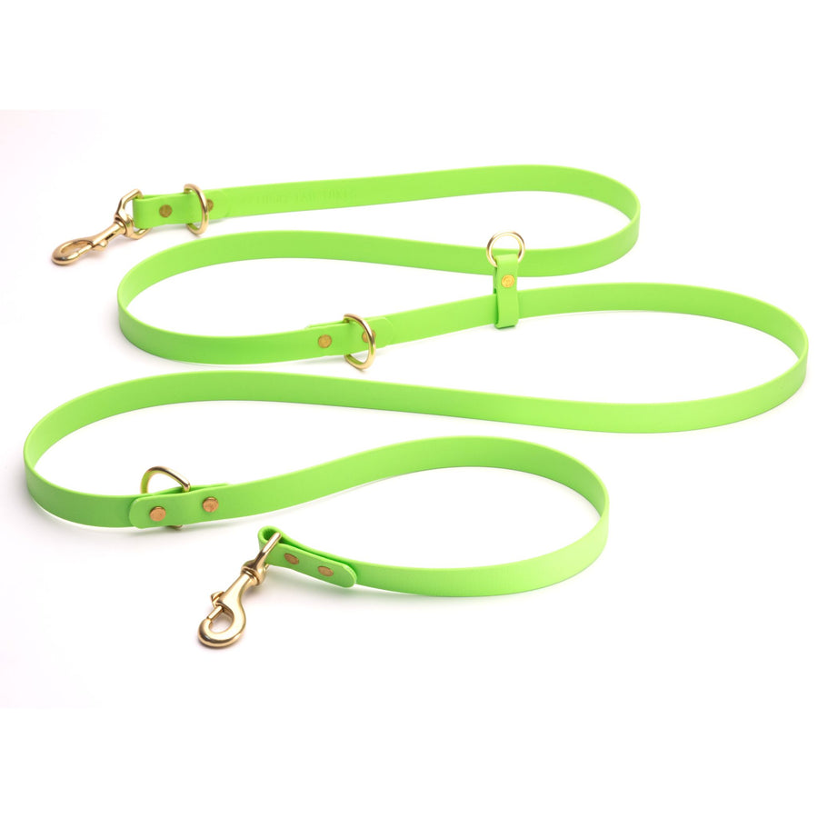 long dog leash in green color with brass hardware on white background