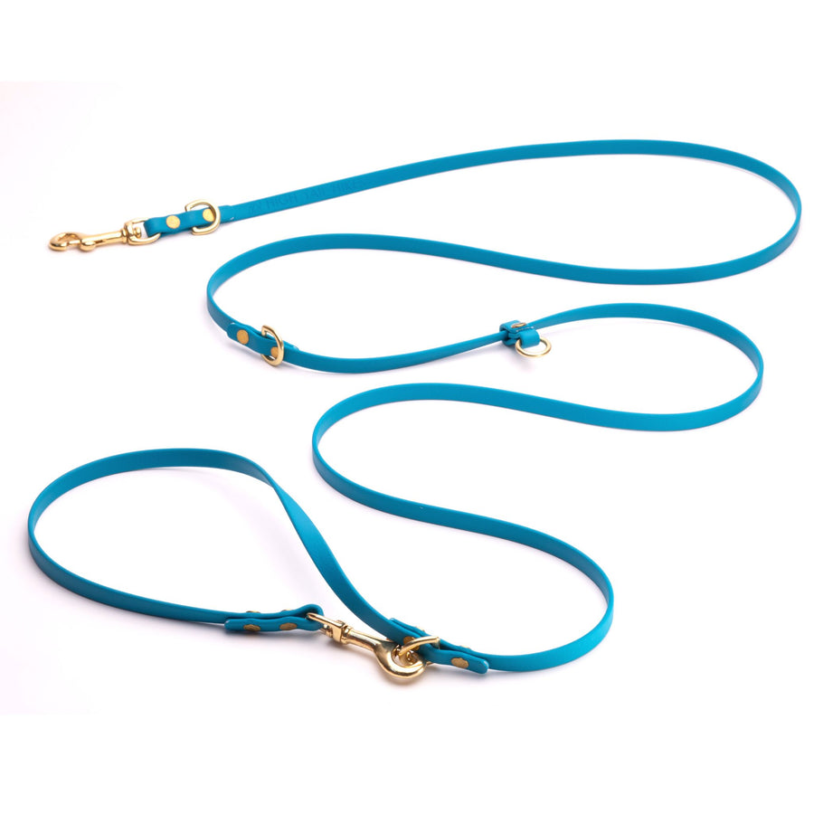 teal biothane hands free dog leash with brass hardware on white background