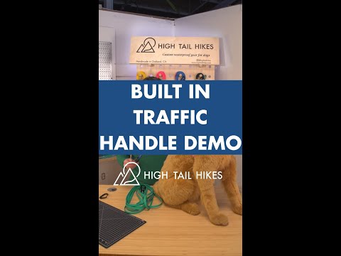 video showing built in traffic handle demo