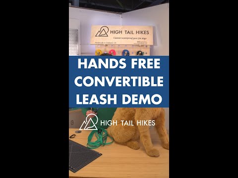 video of hands free convertible leash demo