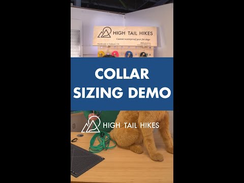 video of collar sizing demo