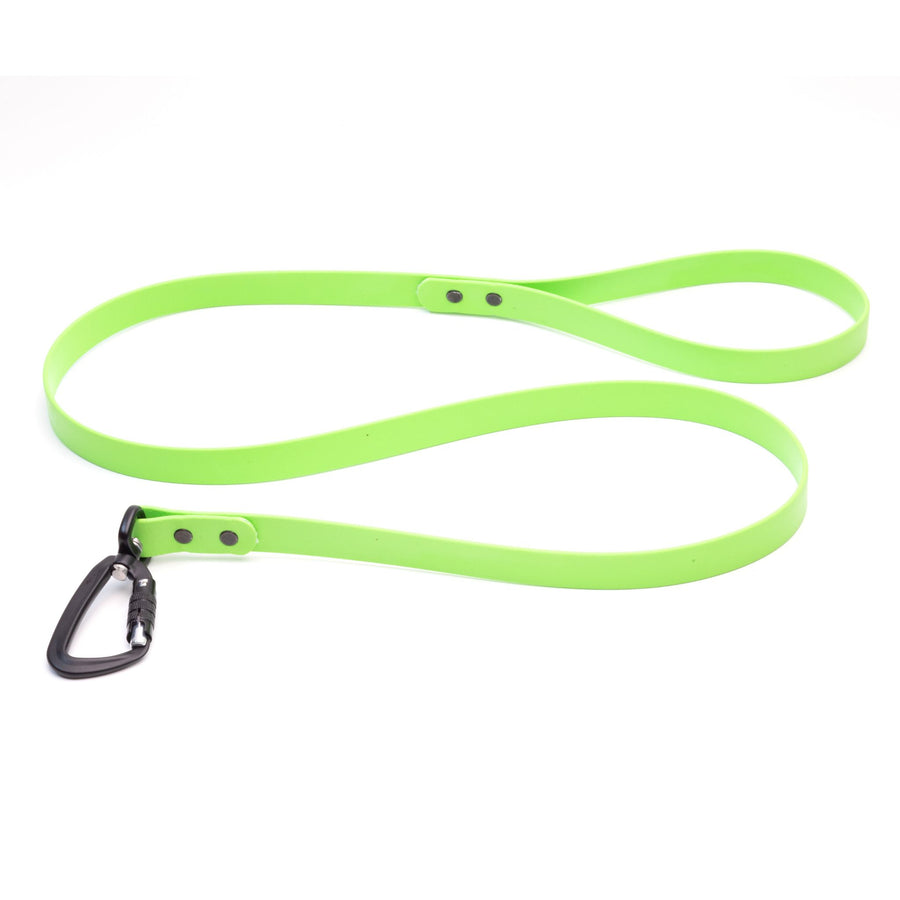 light green biothane dog leash with black autolocking carabiner hardware on white background