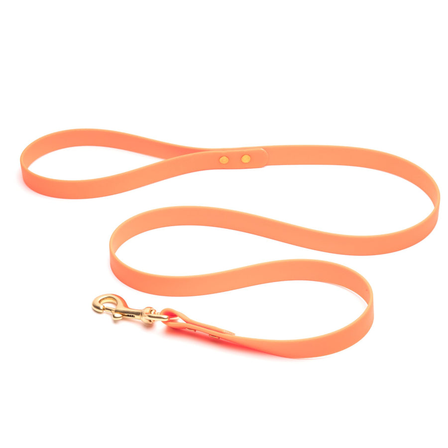coral biothane dog leash with brass hardware on white background