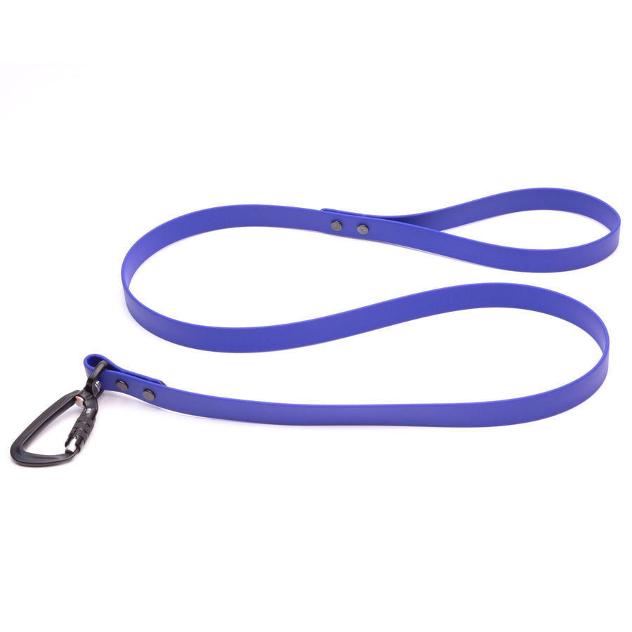 blue biothane dog leash with sport hardware on white background