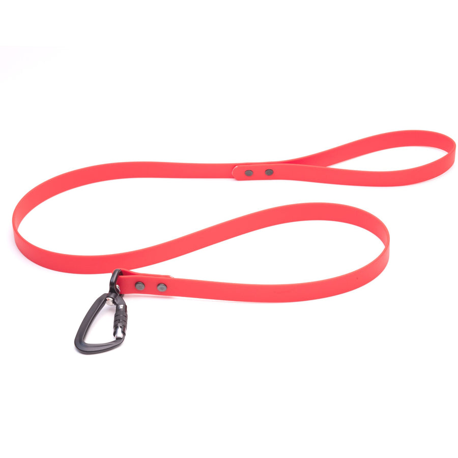red biothane dog leash with sport hardware on white background