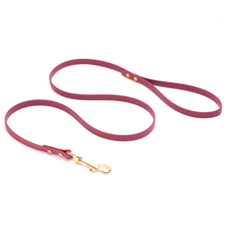 red biothane dog leash with brass hardware on white background