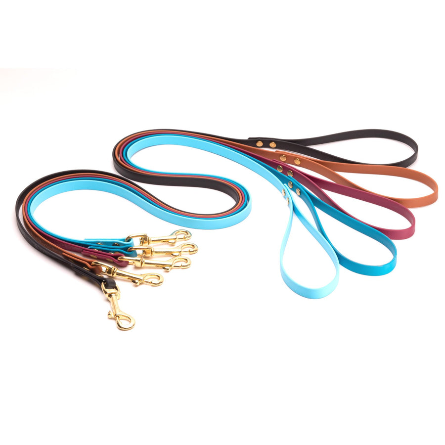 black, brown, red, blue, and teal biothane dog leash with brass hardware on white background